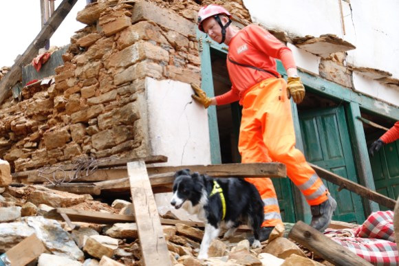 John_Ball_with_rescue_dog_Darcy_in_Chautara,_Nepal_(17127450669)