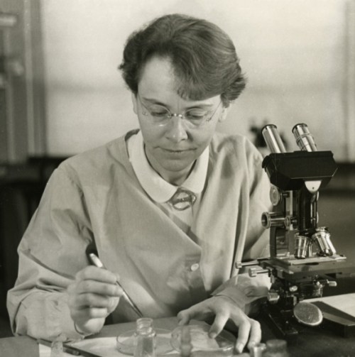One of our best stories of the year focused on Emily Temple-Wood's effort to increase Wikipedia's coverage of women scientists. One of her favorites isBarbara McClintock, seen here and a 1983 winner of the Nobel Prize. Photo from the Smithsonian, public domain.