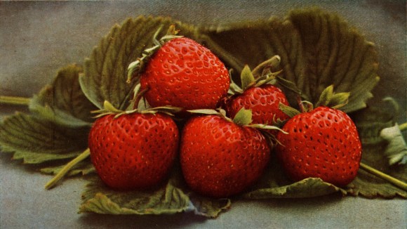 Strawberry - Wikipedia