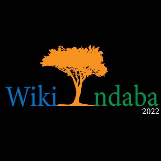 Wiki Indaba 2022 – Advancing Africa’s Agenda in the Implementation of the 2030 Movement Strategy￼