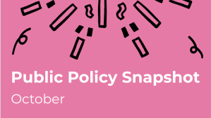 Don't Blink: Public Policy Snapshot for October 2022