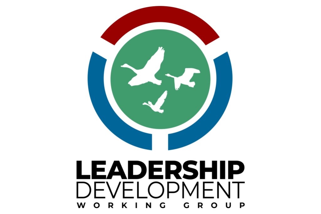 Leadership Development Working Group shares a summary of the leadership definition feedback period: key questions, concerns and suggestions