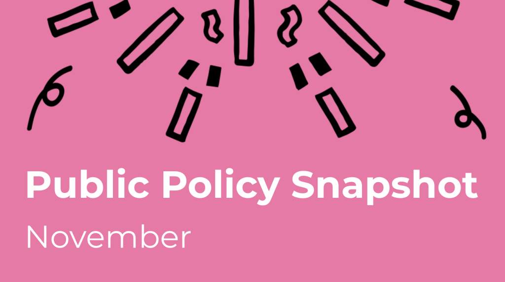 Don’t Blink: Public Policy Snapshot for November 2022