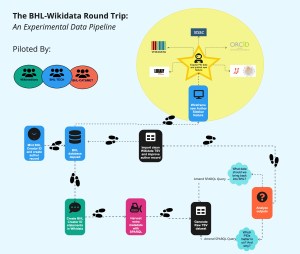 The BHL-Wikidata Round Trip Overview