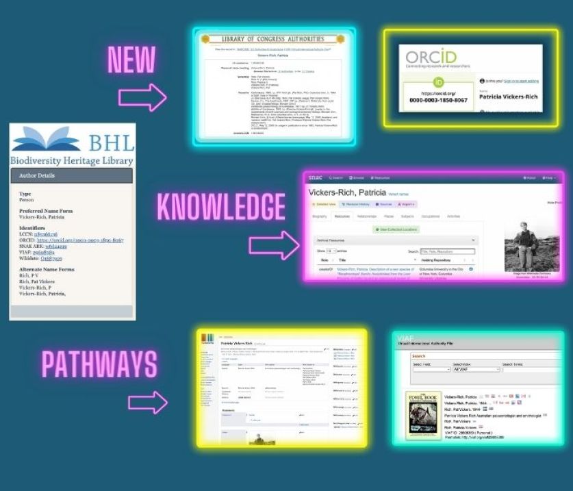 New Knowledge Pathways