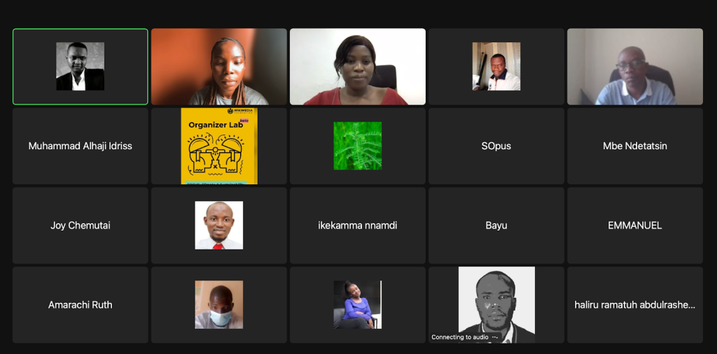 Group photo of participants at the end of the webinar on Eduwiki newsletter 2