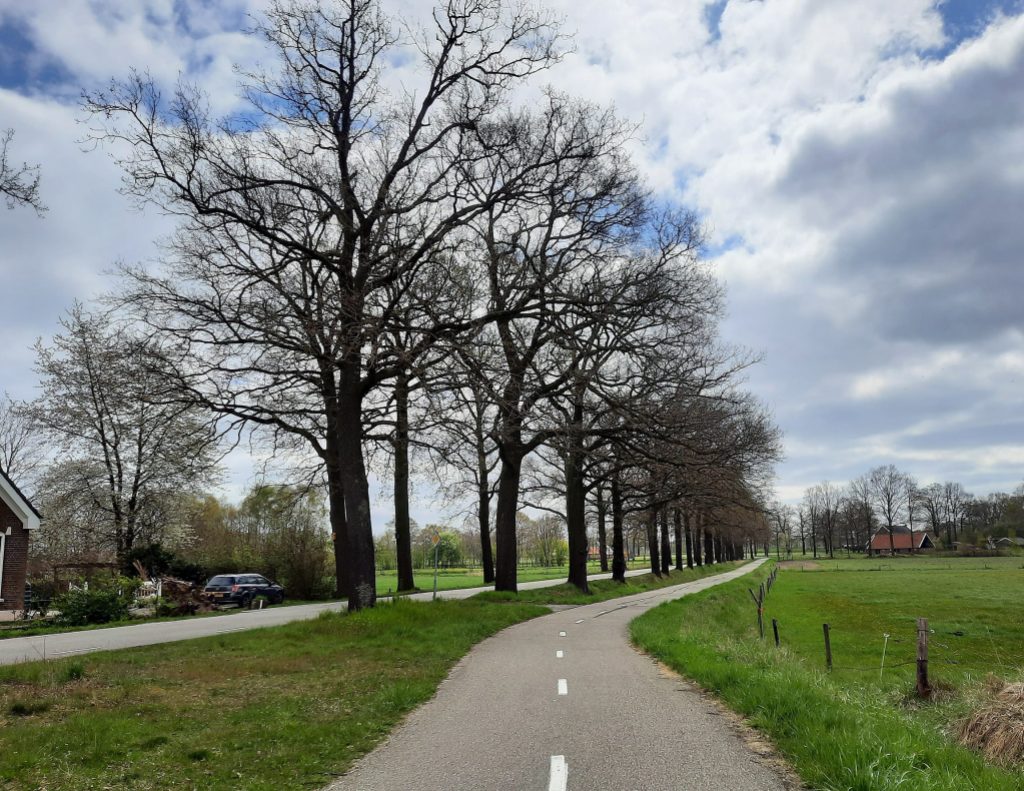 A paved cement bike path, with a border of grass and tree on the left and a field of green on the right. The sky is blue but with white clouds. The bike path fades into the distance, there is no traffic.