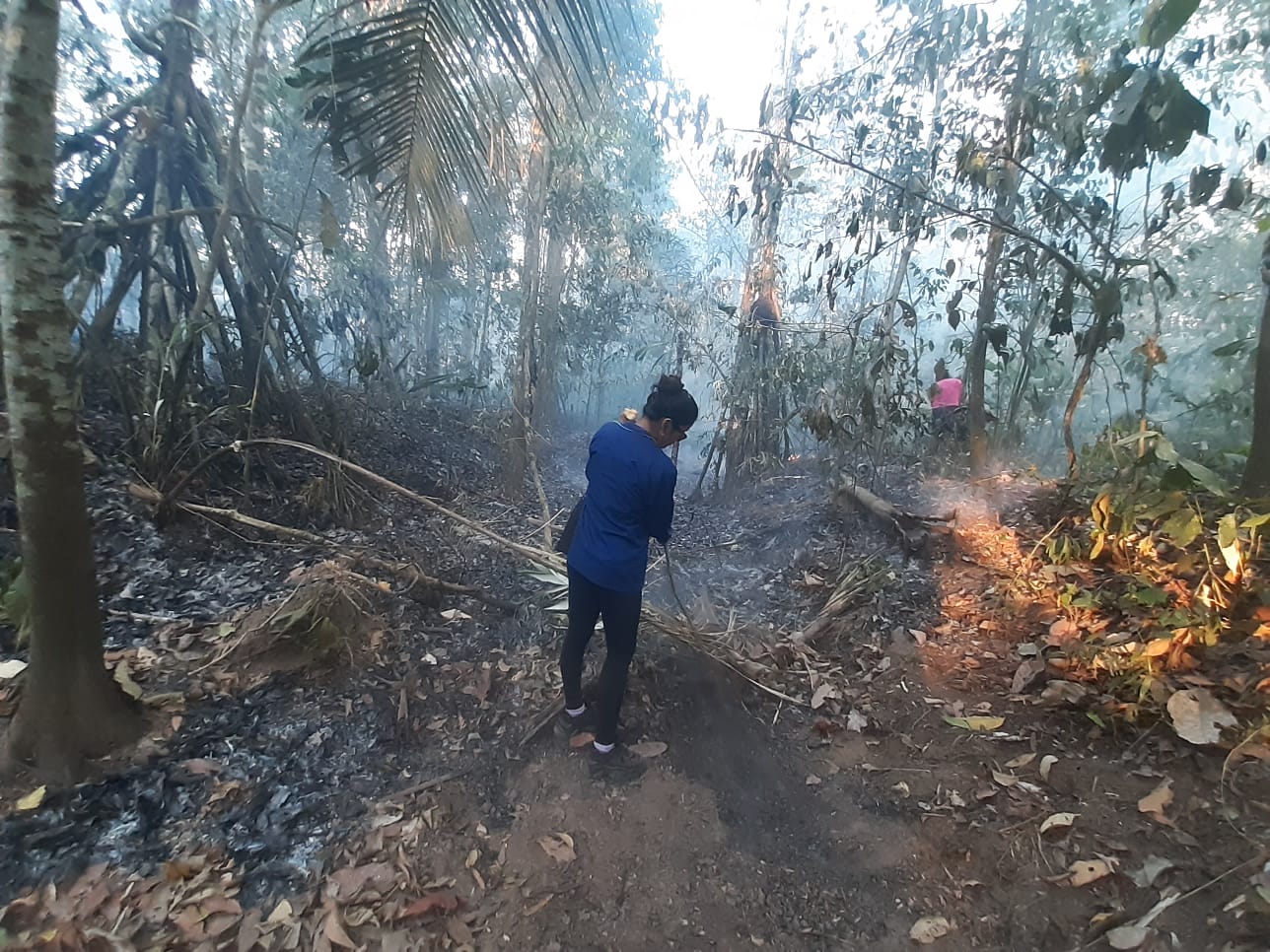 Incendios de 2023 en Tumupasa, La Paz -Bolivia.